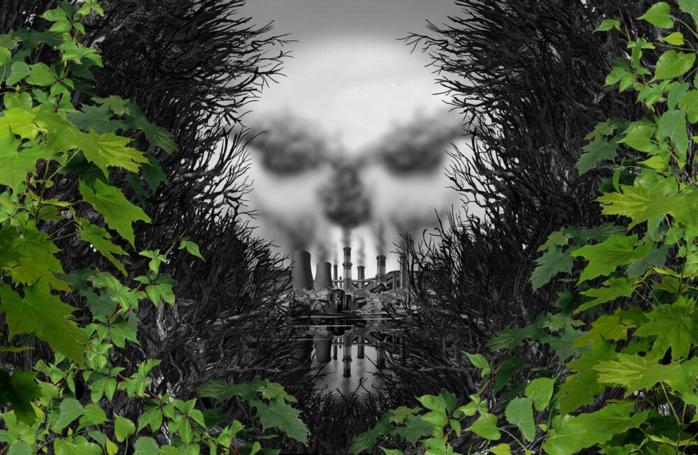 adobestock-165244156-medium